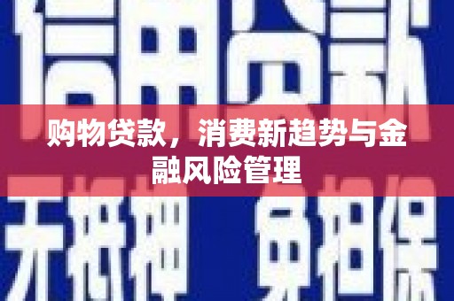 屯门购物贷款，消费新趋势与金融风险管理