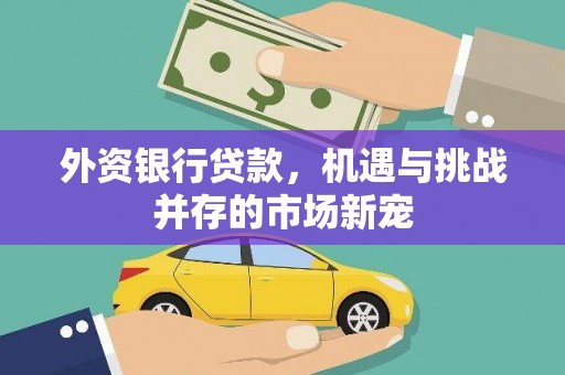 苏尼特右旗外资银行贷款，机遇与挑战并存的市场新宠