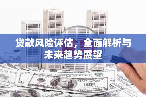 岱岳贷款风险评估，全面解析与未来趋势展望