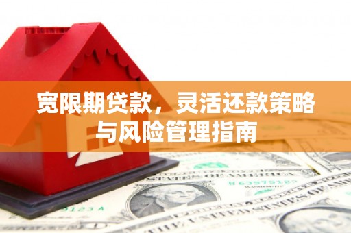 阿莲宽限期贷款，灵活还款策略与风险管理指南