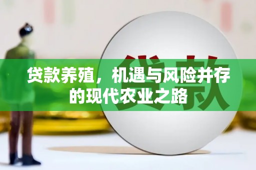 白碱滩贷款养殖，机遇与风险并存的现代农业之路