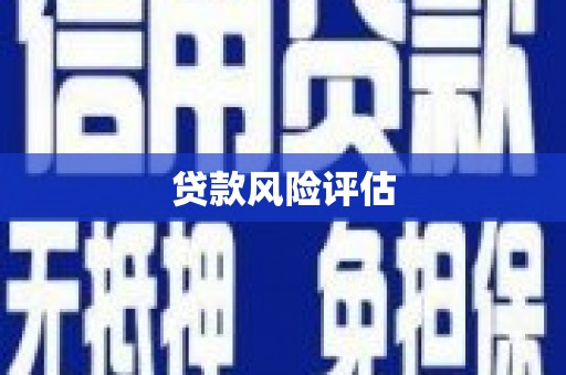 复兴贷款风险评估