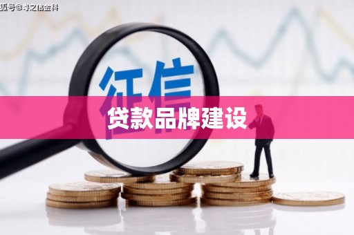 且末贷款品牌建设