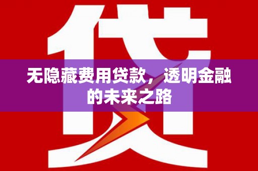 燕郊无隐藏费用贷款，透明金融的未来之路