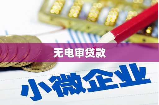 秦淮无电审贷款