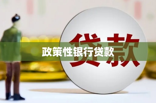 北区政策性银行贷款