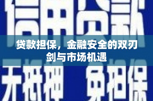 金峰贷款担保，金融安全的双刃剑与市场机遇