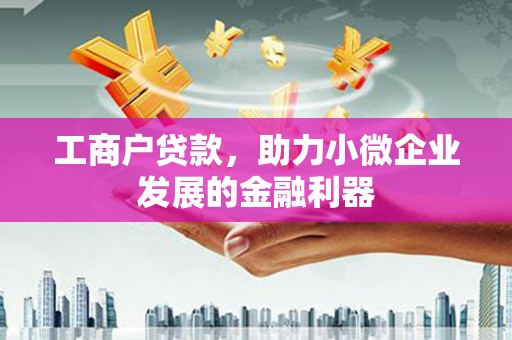 洪雅工商户贷款，助力小微企业发展的金融利器