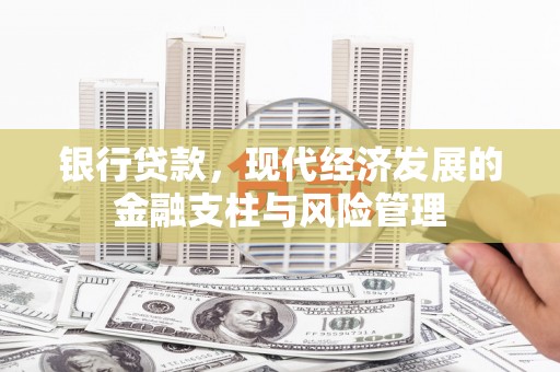 天峨银行贷款，现代经济发展的金融支柱与风险管理