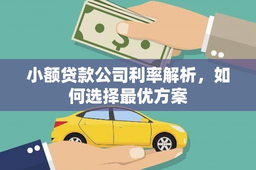 龙岗小额贷款公司利率解析，如何选择最优方案