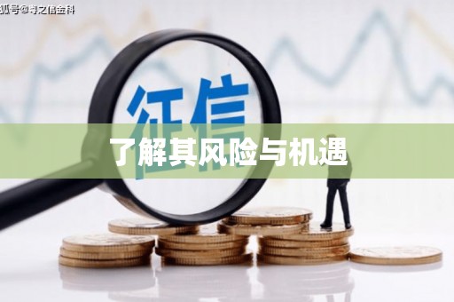 白水了解其风险与机遇