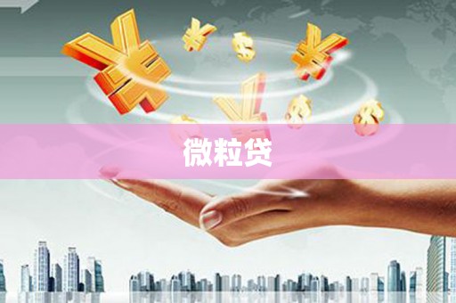 湖口微粒贷