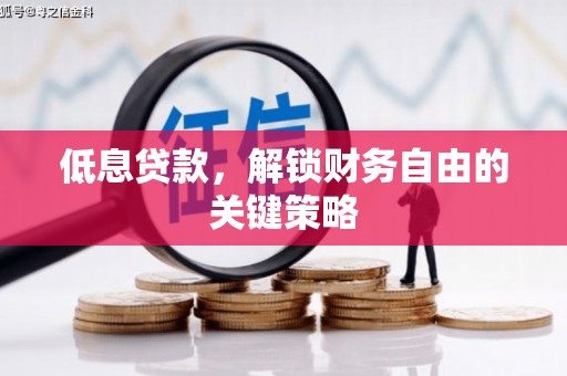 新邱低息贷款，解锁财务自由的关键策略