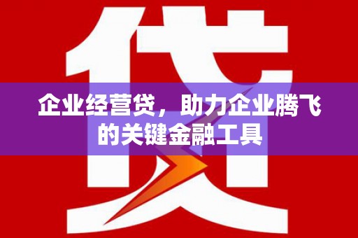 碌曲企业经营贷，助力企业腾飞的关键金融工具