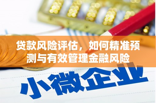 中原贷款风险评估，如何精准预测与有效管理金融风险
