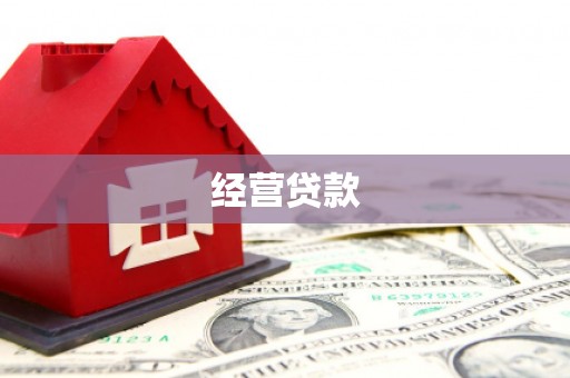 旬阳经营贷款