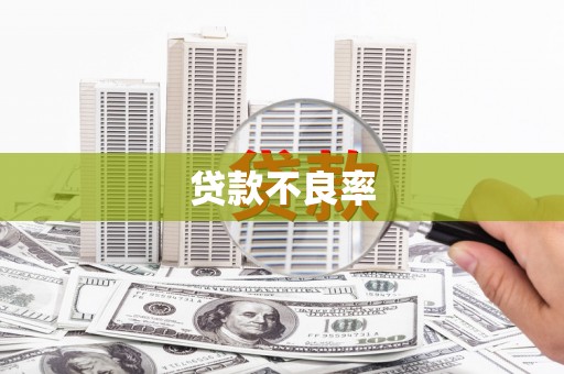 高要贷款不良率