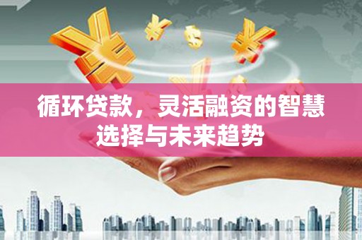 利州循环贷款，灵活融资的智慧选择与未来趋势