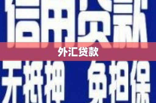 锡林郭勒外汇贷款