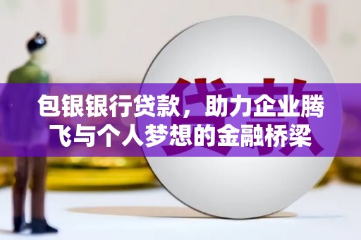 芦淞包银银行贷款，助力企业腾飞与个人梦想的金融桥梁