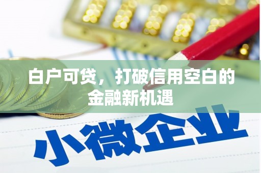 西和白户可贷，打破信用空白的金融新机遇