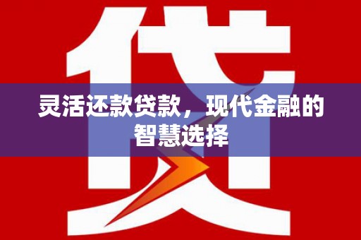 六甲灵活还款贷款，现代金融的智慧选择