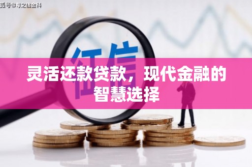 茂林灵活还款贷款，现代金融的智慧选择