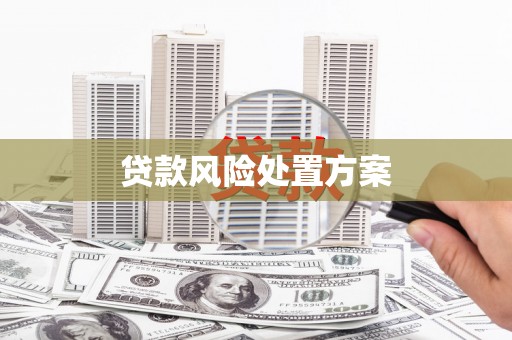四平贷款风险处置方案