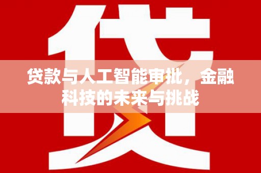 琼中贷款与人工智能审批，金融科技的未来与挑战