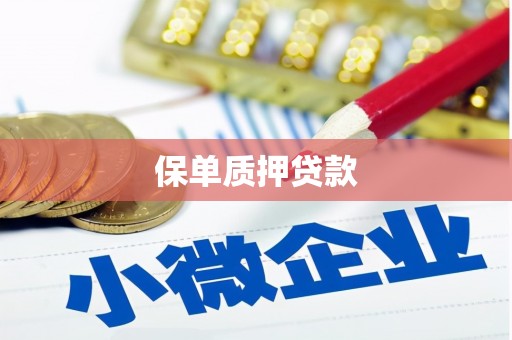 沈河保单质押贷款