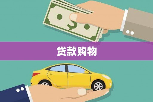 勐海贷款购物