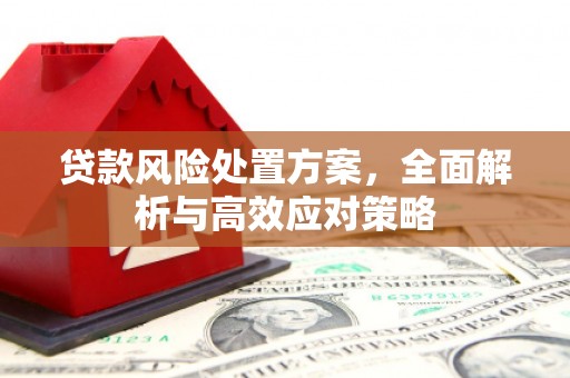 阳东贷款风险处置方案，全面解析与高效应对策略