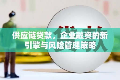 滨城供应链贷款，企业融资的新引擎与风险管理策略