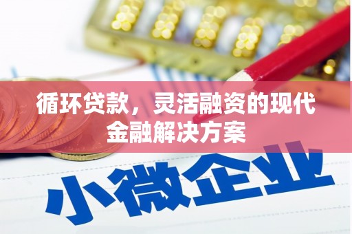 洛宁循环贷款，灵活融资的现代金融解决方案