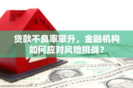 那曲贷款不良率攀升，金融机构如何应对风险挑战？