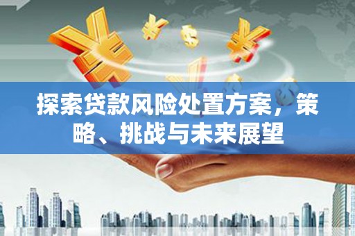 柳河探索贷款风险处置方案，策略、挑战与未来展望