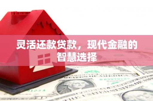 西夏灵活还款贷款，现代金融的智慧选择