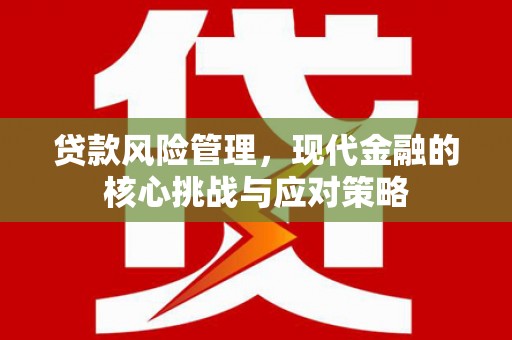 泸溪贷款风险管理，现代金融的核心挑战与应对策略