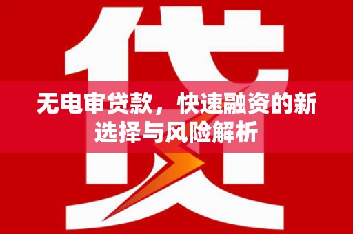 弋阳无电审贷款，快速融资的新选择与风险解析
