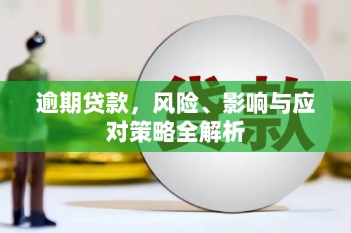 沙田逾期贷款，风险、影响与应对策略全解析