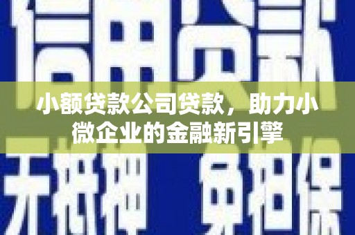 水林小额贷款公司贷款，助力小微企业的金融新引擎