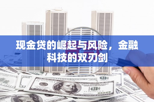 望安现金贷的崛起与风险，金融科技的双刃剑