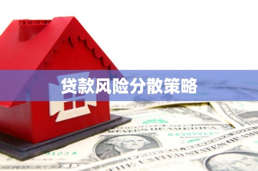 桑日贷款风险分散策略