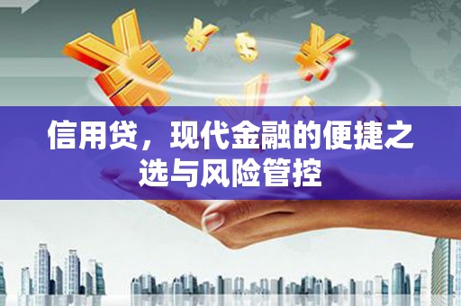 太保信用贷，现代金融的便捷之选与风险管控