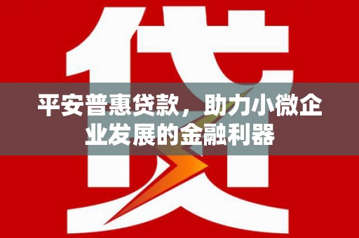 杂多平安普惠贷款，助力小微企业发展的金融利器