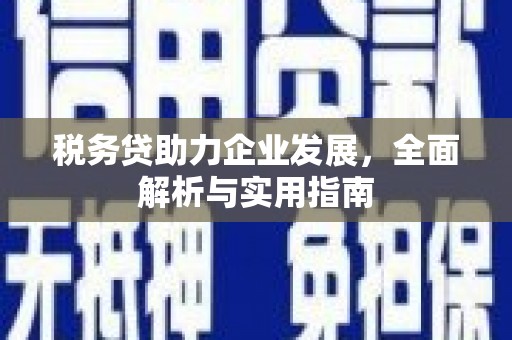 克什克腾旗税务贷助力企业发展，全面解析与实用指南