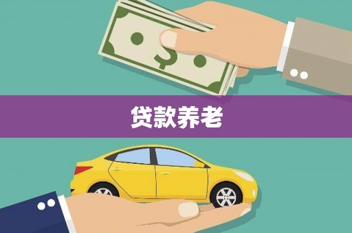 类乌齐贷款养老