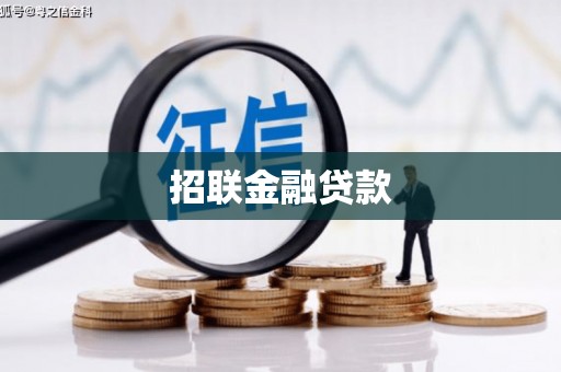 保亭招联金融贷款