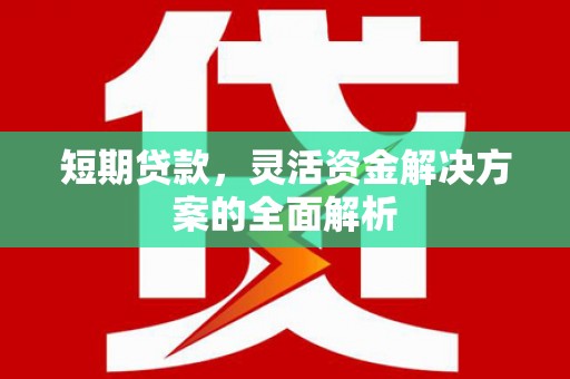 镇平短期贷款，灵活资金解决方案的全面解析