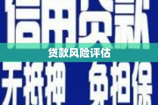 高淳贷款风险评估
